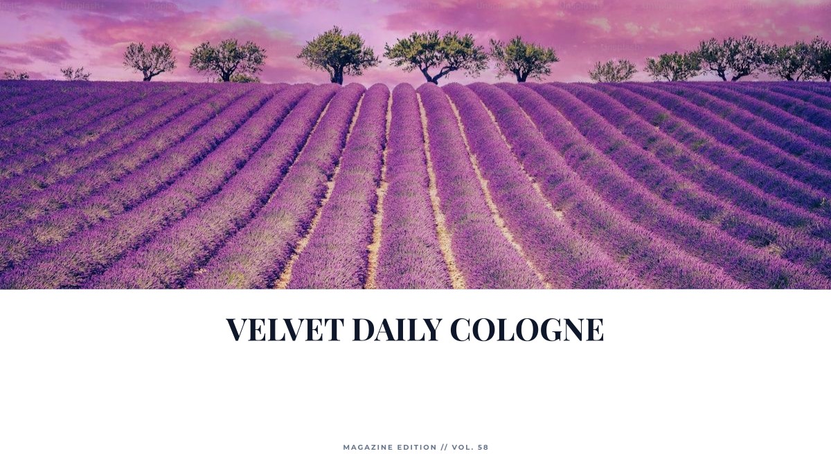 velvet daily cologne