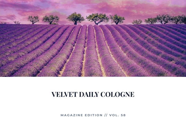 velvet daily cologne